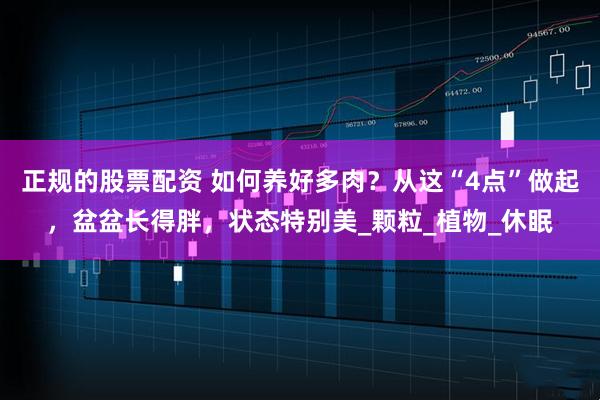 正规的股票配资 如何养好多肉？从这“4点”做起，盆盆长得胖，状态特别美_颗粒_植物_休眠